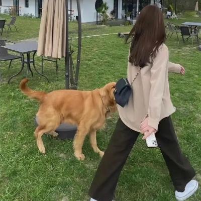 强者上钩